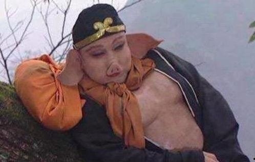 娱乐吃瓜酱唐僧猪八戒,娱乐吃瓜酱中的奇幻之旅